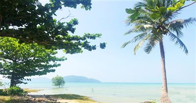 koh-samui-beachfront-land-for-sale-in-thong-k