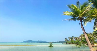 koh-samui-beachfront-land-for-sale-in-thong-k