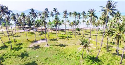 koh-samui-beachfront-land-for-sale-in-thong-k