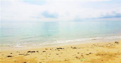 koh-samui-beachfront-land-for-sale-hua-thanon