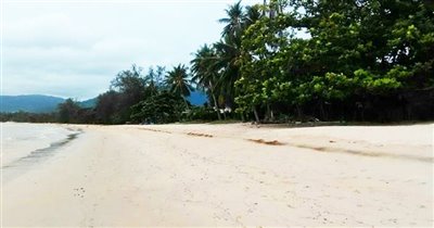 koh-samui-beachfront-land-for-sale-lipa-noi-b