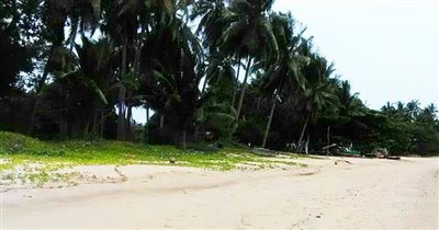 koh-samui-beachfront-land-for-sale-lipa-noi-b