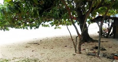 koh-samui-beachfront-land-for-sale-lipa-noi-b