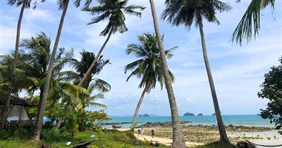 koh-samui-beachfront-land-for-sale-taling-nga