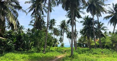 koh-samui-beachfront-land-for-sale-taling-nga