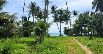 koh-samui-beachfront-land-for-sale-taling-nga