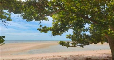 beachfront-koh-samui-land-for-sale-pristine-t