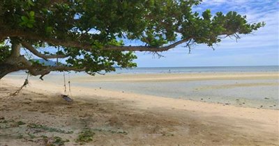 beachfront-koh-samui-land-for-sale-pristine-t