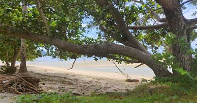 beachfront-koh-samui-land-for-sale-pristine-t