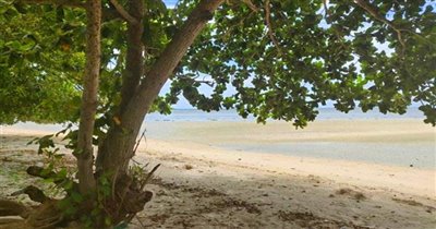 beachfront-koh-samui-land-for-sale-pristine-t