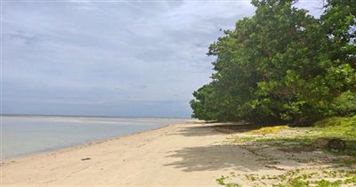 beachfront-koh-samui-land-for-sale-pristine-t