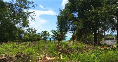 premium-beachfront-land-for-sale-koh-samui-pl