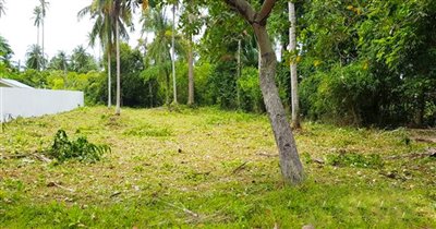 beachside-land-for-sale-koh-samui-laem-sor-be