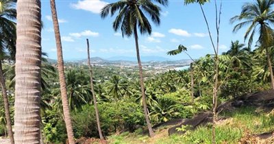 land-for-sale-koh-samui-sea-view-pristine-cha