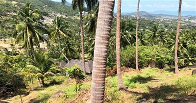 land-for-sale-koh-samui-sea-view-pristine-cha