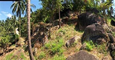 land-for-sale-koh-samui-sea-view-pristine-cha