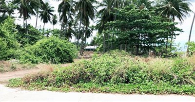 koh-samui-beachfront-land-for-sale-ban-talay-