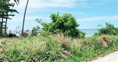 koh-samui-beachfront-land-for-sale-ban-talay-