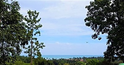 koh-samui-sea-view-land-for-sale-plai-laem-21