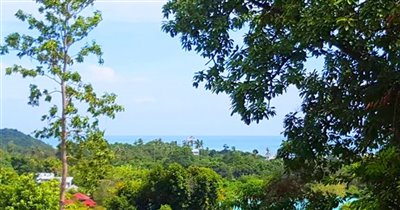 koh-samui-sea-view-land-for-sale-plai-laem-21