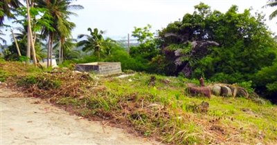 land-for-sale-koh-samui-panoramic-sea-view-na