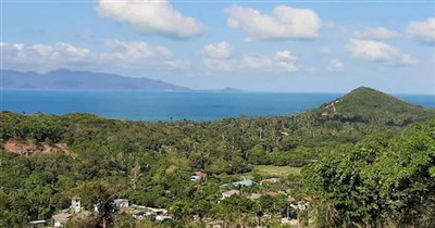 koh-samui-land-for-sale-sea-view-ban-tai-2418