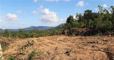 koh-samui-land-for-sale-sea-view-ban-tai-2418