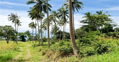 koh-samui-land-for-sale-taling-ngam-28693