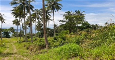 koh-samui-land-for-sale-taling-ngam-28696