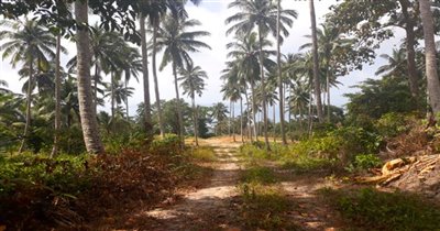 koh-samui-land-for-sale-taling-ngam-28677