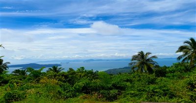 koh-samui-land-for-sale-taling-ngam-28686