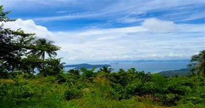 koh-samui-land-for-sale-taling-ngam-28687