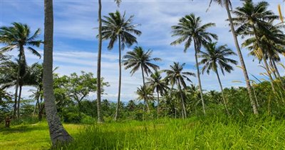 koh-samui-land-for-sale-taling-ngam-28689