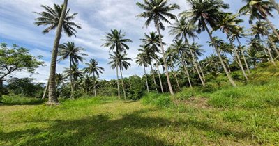 koh-samui-land-for-sale-taling-ngam-28691