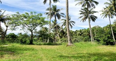 koh-samui-land-for-sale-taling-ngam-28692