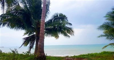 koh-samui-beachfront-land-for-sale-lipa-noi-2