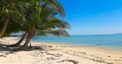 koh-samui-beachfront-land-for-sale-thong-krut