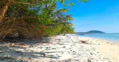 koh-samui-beachfront-land-for-sale-thong-krut