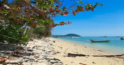 koh-samui-beachfront-land-for-sale-thong-krut