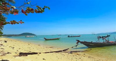 koh-samui-beachfront-land-for-sale-thong-krut