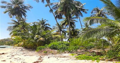 koh-samui-beachfront-land-for-sale-thong-krut