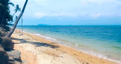 koh-samui-beachside-land-for-sale-ban-tai-304