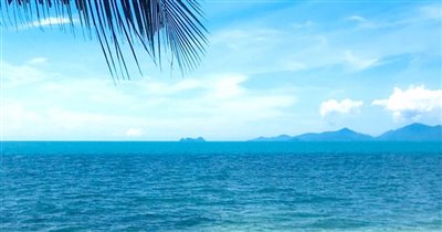 koh-samui-beachside-land-for-sale-ban-tai-304