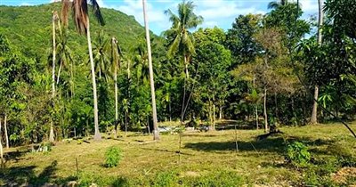 koh-samui-sea-view-flat-land-for-sale-bangrak