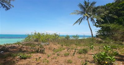 koh-samui-beachfront-land-for-sale-in-lipa-no