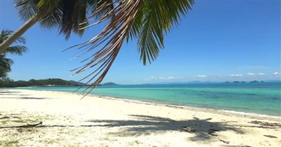 koh-samui-beachfront-land-for-sale-in-lipa-no