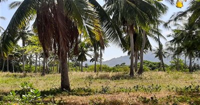 koh-samui-beachfront-land-for-sale-in-lipa-no