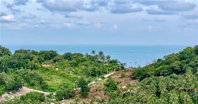 koh-samui-premium-sea-view-land-for-sale-3151