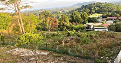 koh-samui-sea-view-land-for-sale-namuang-7626