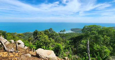 1 - Surat Thani, Land